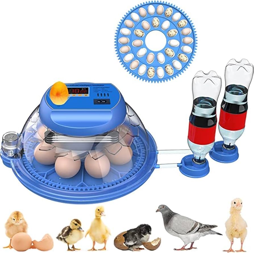 Inkubátor Incubator OUYOLAD 8 – 33 vajec - zvìtšit obrázek